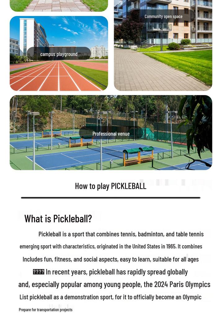 Carbon Fiber Pickleball Paddle Set for Adults & Children
