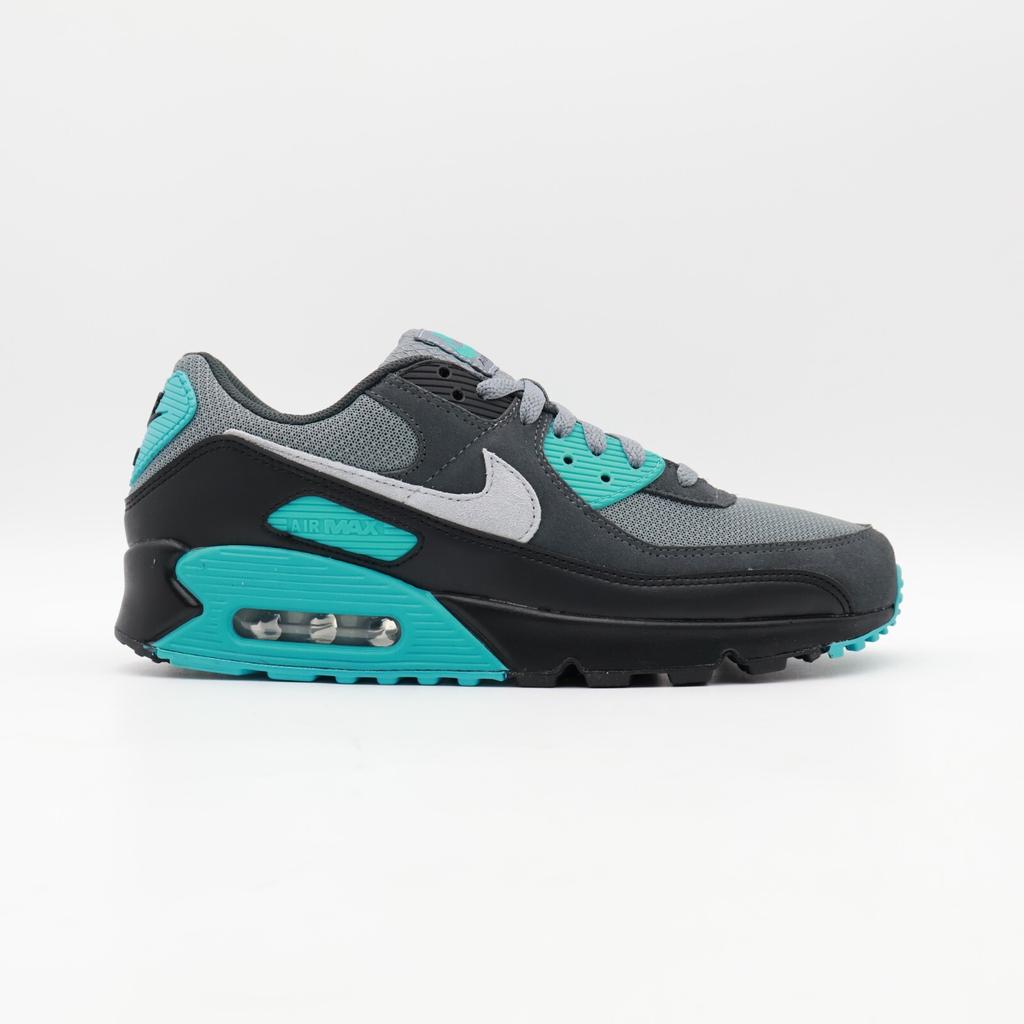 DM0029-013 Nike Air Max 90 Cool Grey Wolf Grey Dusty Cactus (Herren)