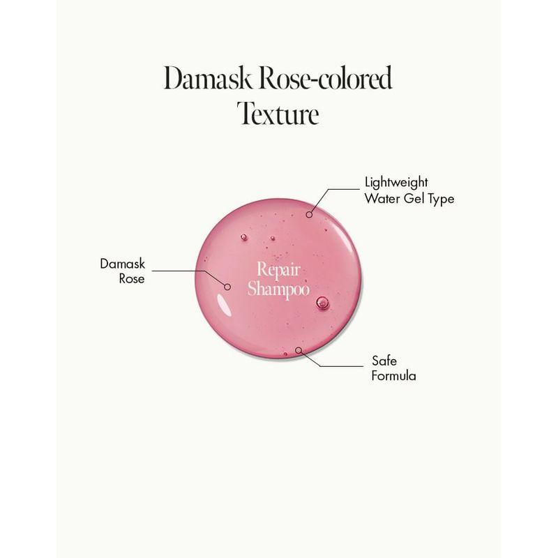 anillo Rosy Nachtreparatur-Shampoo