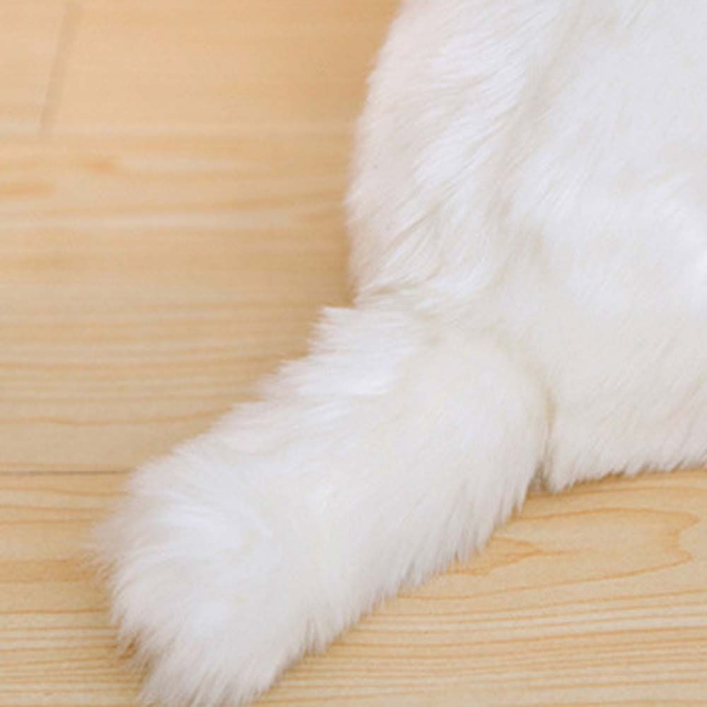 Pets Fluffy Maltese Plush Toy Stuffed Animal Puppy Dog Plush Maltese Stuffed Dog  Children Toy