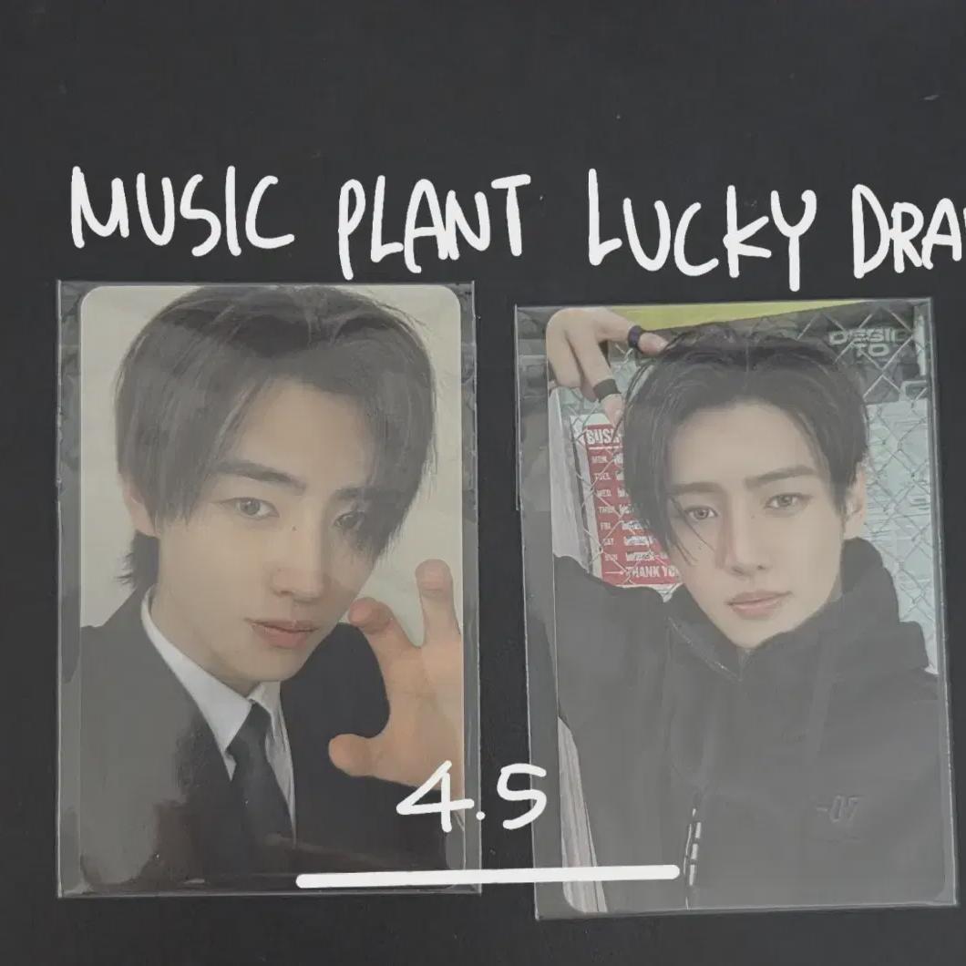 

Enhypen Desire Unleash Musicplant Lucky Draw Sunghoon Hoon Batch