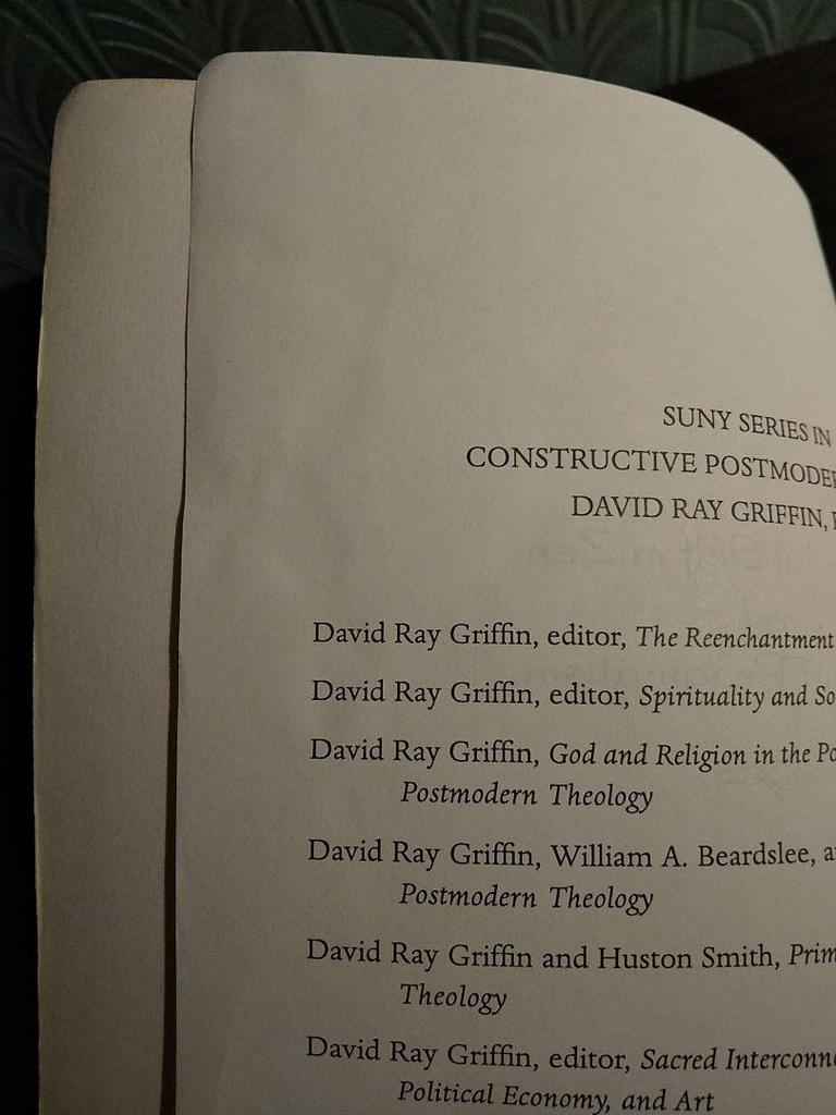 [USED] <Foreign Book> Zen and the Social Self in American Pragmatism / Steve Odin