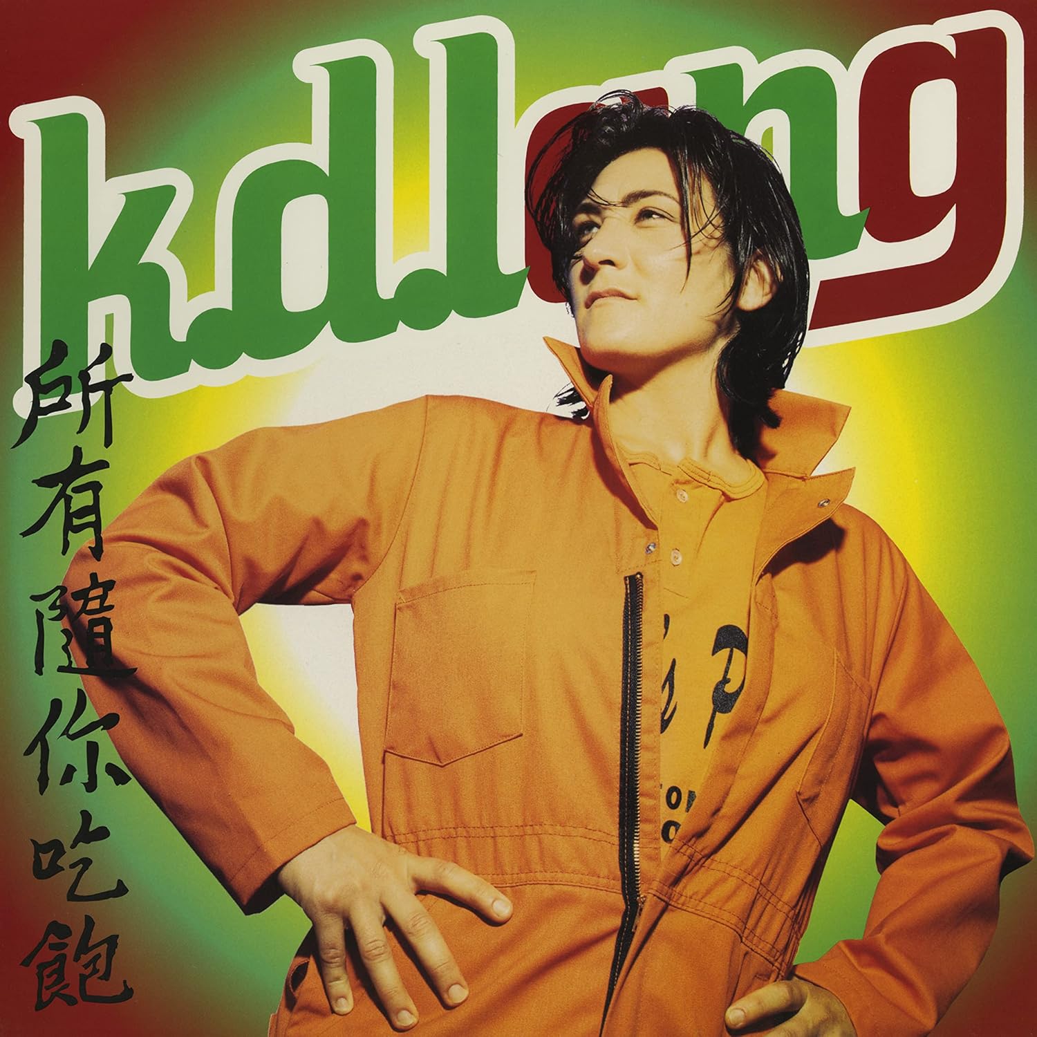 

LP Record K.D. LANG - All You Can Eat 093624895640 Warner Records 2021 Rock