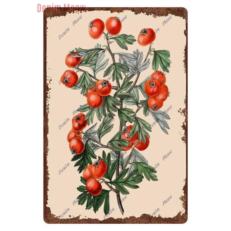 Funny Plants Metal Tin Sign Vintage English Flowers Retro Fruits Butterflys Animals Wall Poster Home Plates WY