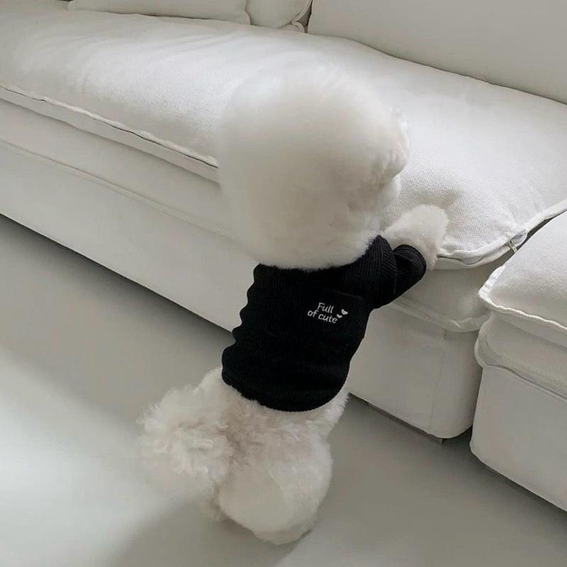 Autumn pet Teddy Bichon Pomeranian Maltese Yorkshire terrier small dog dog clothes autumn