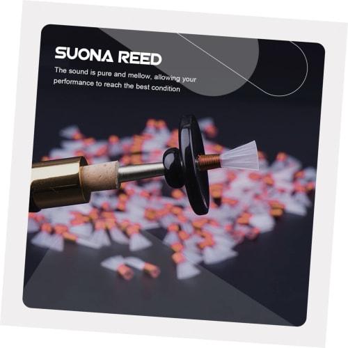ULDIGI Repair-Free Plastic Suona Reeds, Pack of 10, Musical Instrument Accessories, Smooth Surface, Gentle Tone