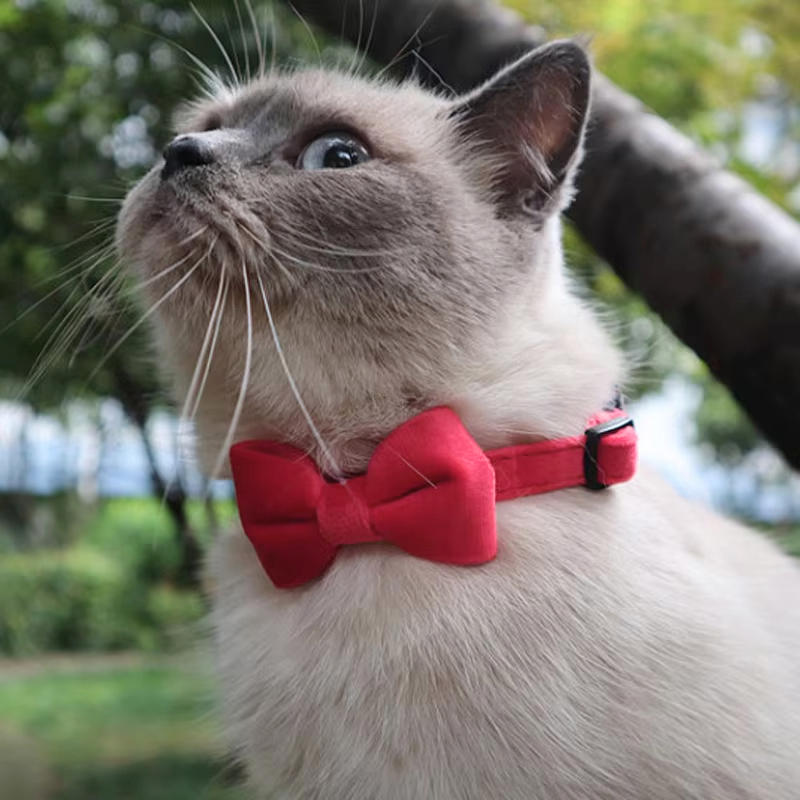 1PC Cute Pet Suede Bow Tie Collar with Bell Breakaway Adjustable Solid Color Safety Collar for Kitten Puppy