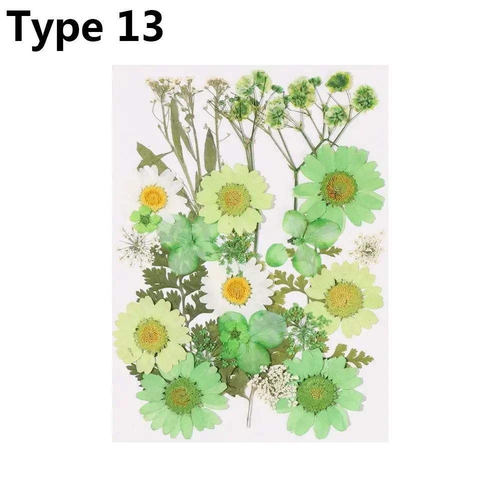 Dried Flowers UV Resin Decorative Natural Flower Stickers 3D Pressed Dried Flowers Beauty Decal Nail Art Epoxy Mold Filling