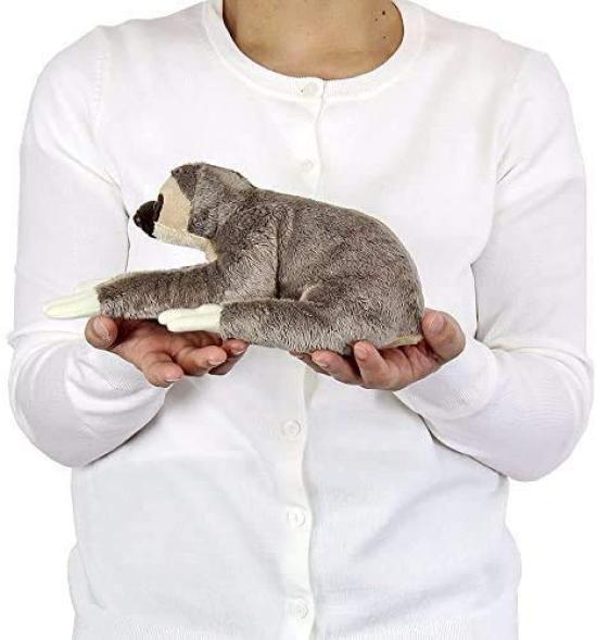 Calorata Two-Toed Sloth Plush Toy (Nestling SeriesSoft Touch) Realistic Animal Toy Doll Gift Present Birthday (Twice Tested)  Christmas Present