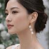 Versatile Pendant Earrings Resin Flower Earrings Elegant Fringe Hoop Earrings  Fashion Events