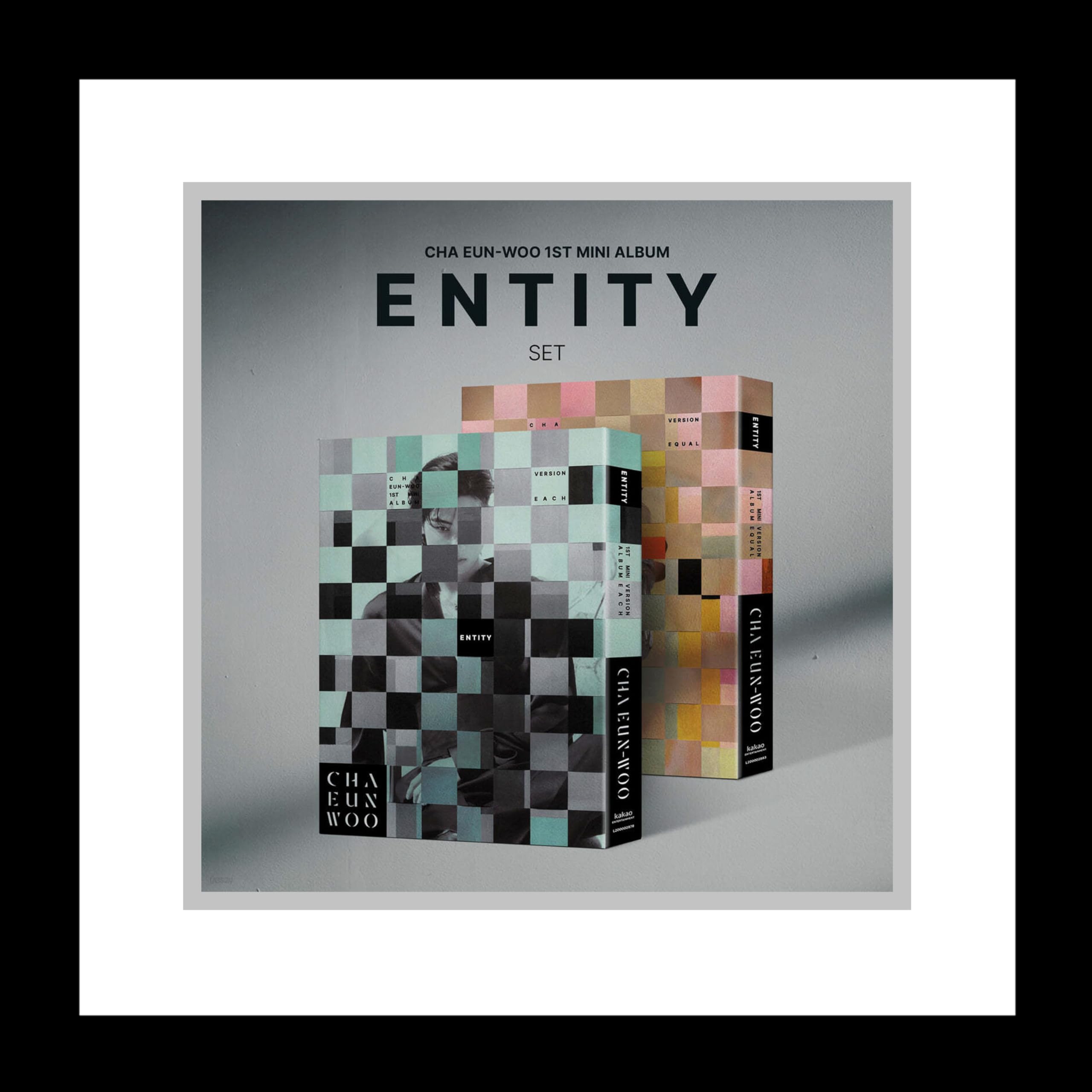 

Astro Cha Eunwoo Entity 1st Mini Album 2 Version SET CD+1p Folding Poster on Pack+PhotoBook+3p PhotoCard+1ea Sticker+1ea DIY Entity+1p Accordion Lyric