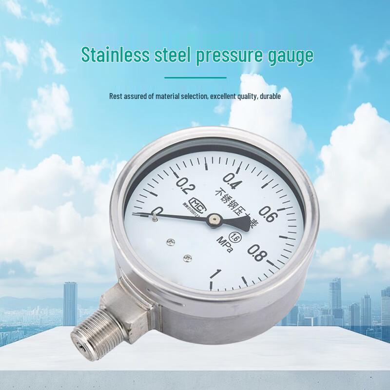 Jinglongdun Stainless Steel Pressure Gauge