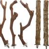 5PCS Bird Training Branches with Fixing Screw Easy to Install Anti-Slip Design Branch for Small Parrot Birds
