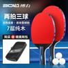 3-Star Beginner Table Tennis Racket Set Solid Wood Blade Short Long Handle Options Anti-Spin Rubber Students New