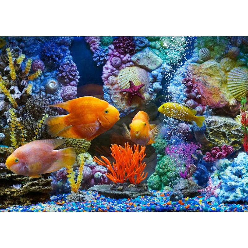 Декоративный плакат с изображением подводных обитателей и коралловых рыб в раме - Настенное искусство с бесплатной доставкой