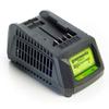 Chargeur De Batterie Universel GREENWORKS G24UC 24V - Noir Et Vert