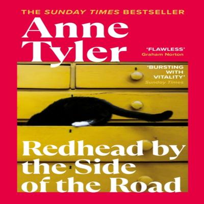 Redhead by the Side of the Road by Anne Tyler Paperback Book 9781529112450