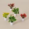 9 Colors Dollhouse Miniature 1:12 Green Luo Plant  Miniature Dollhouse Decorations