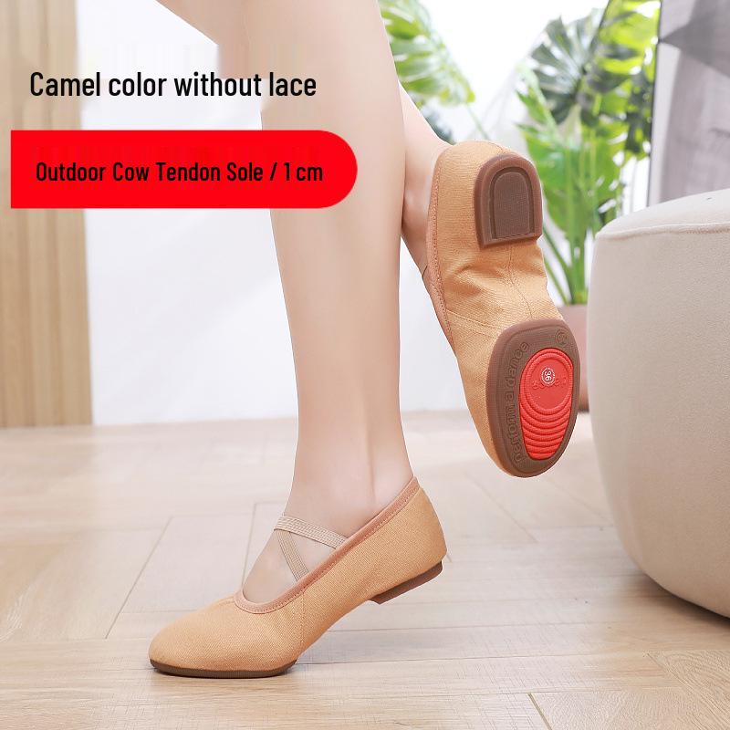 Women's Lace-Free Ballet Heeled Dance Shoes with Soft Sole for Yoga and Classical Dance