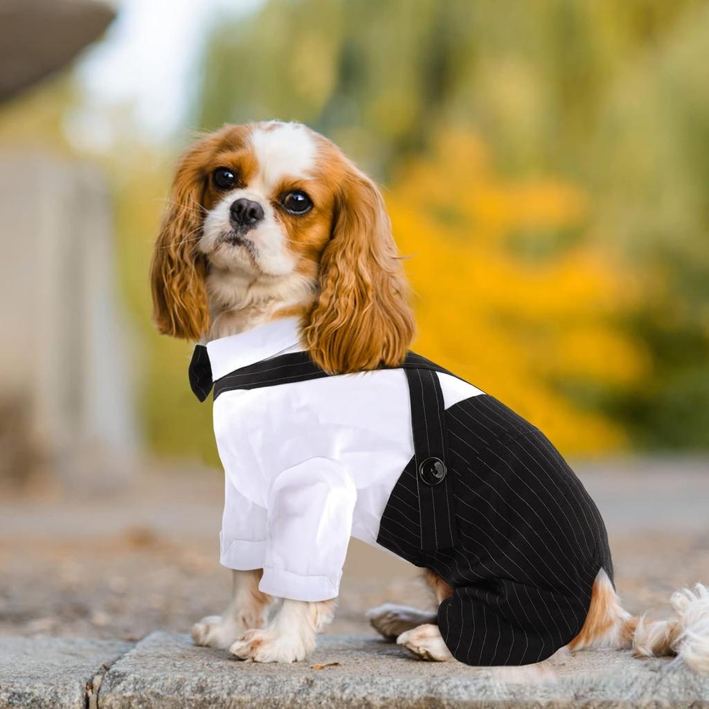 ASENKU Cute Dog Tuxedo for Small Dogs, Handsome Tuxedo for Dogs with Black Bow Tie for Party Birthday Wedding, Beautiful Dog Outfit for Frenchie,