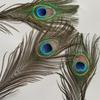 Natural Peacock Feathers 25-30cm 10-20Pcs Eco-friendly Real Plumes for Wedding Party Home Decor DIY Craft Use