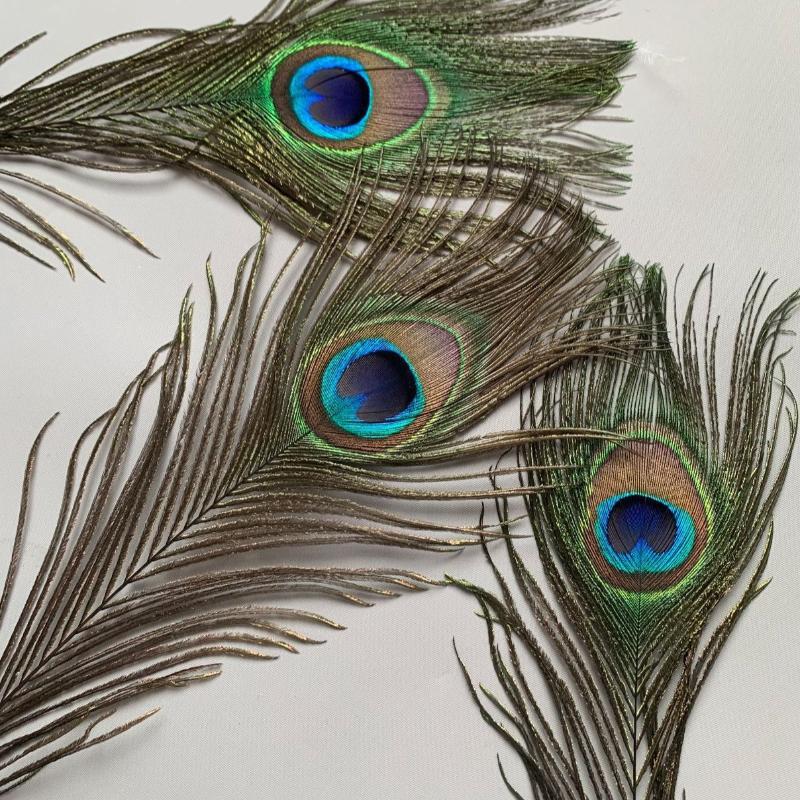 Natural Peacock Feathers 25-30cm 10-20Pcs Eco-friendly Real Plumes for Wedding Party Home Decor DIY Craft Use