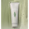 MISSHA Artemisia Pack Foam Cleanser 150ml