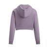 Under Armour Sweatshirt Women's 550 1390319-550