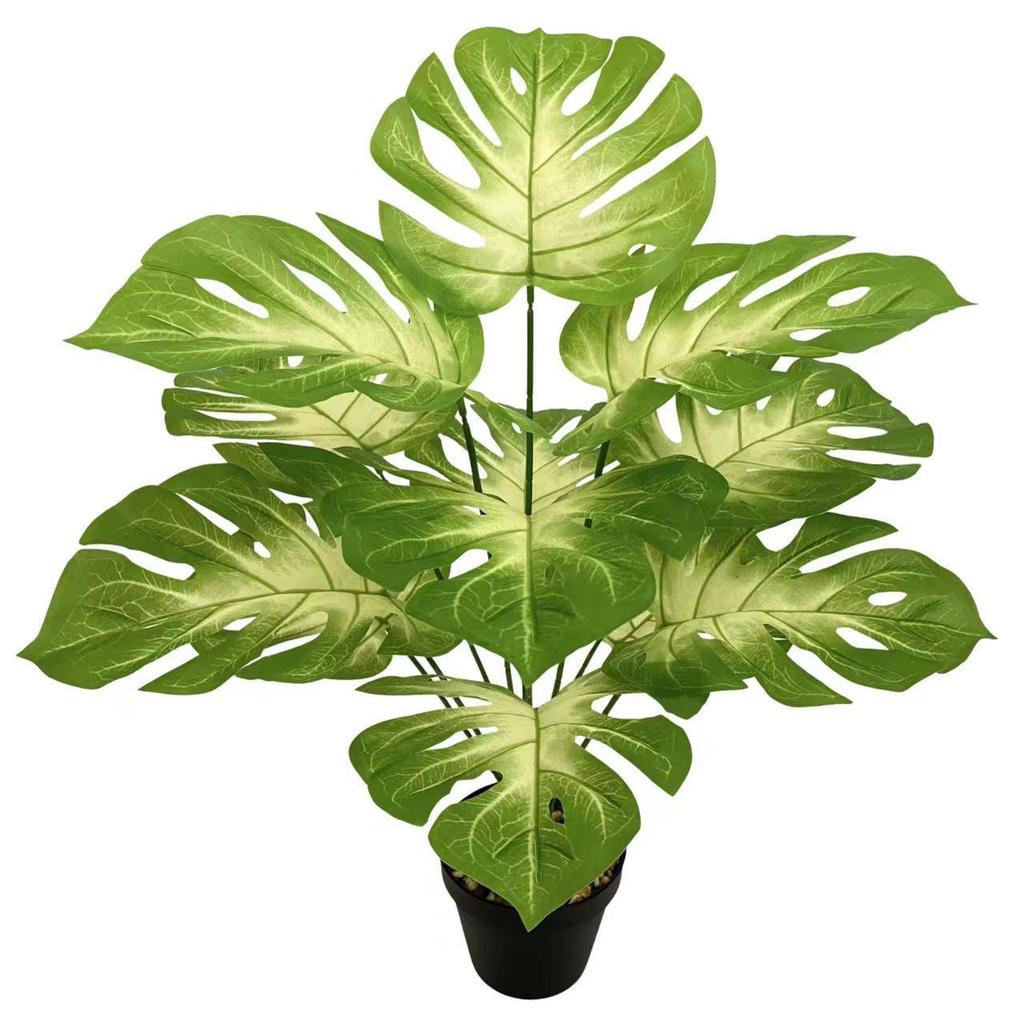 Nordic Style Variegated Monstera: Potted Plant for Home & Garden Decor