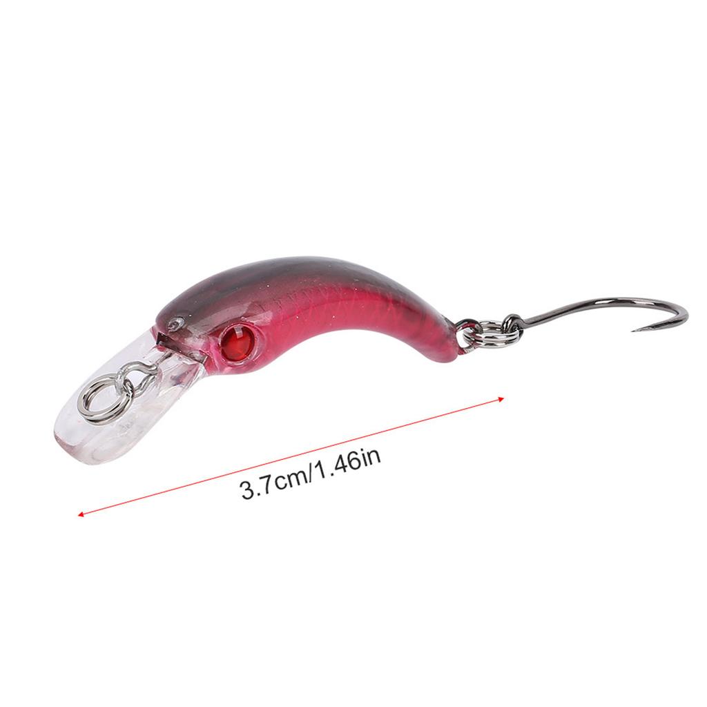 Lifelike Hard Lure Minnow Bait with Hook Fishing Crankbait Wobbler Tackle Accessory (D)