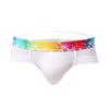 Men's Low-Waist Mesh Briefs: Breathable, Comfortable Modal, Wide-Edge Design, Anti-Squeeze, Sexy Summer Underwear for Boys