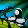 Suction Cup Reptile Feeder Durable Terrarium Gecko Lizard Feeding Cup for Frog Reptile Keeper Bearded Dragon Tortoise Small Pet