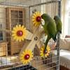 Wear Resistant Rotating Ferris Wheel With Bearings Bird Swing Toy  Bird Cage Accessories