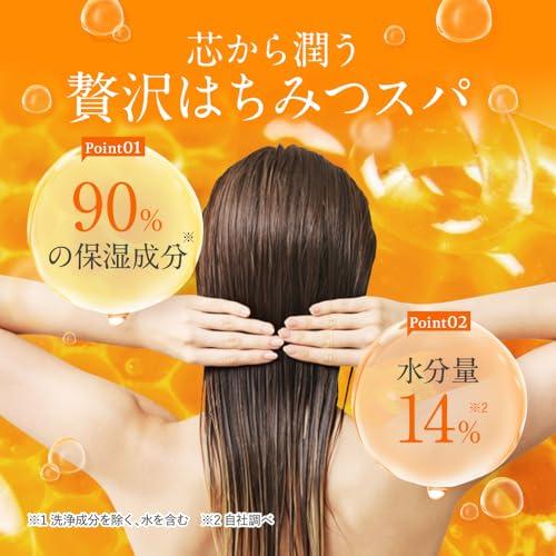 Honey Melty Moist Repair Shampoo Treatment Pair Set 440ml Gift
