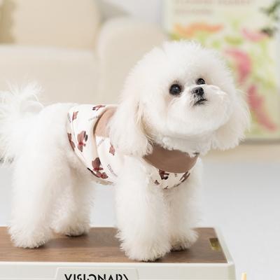 Spring and Summer New Teddy Bigbear Two Feet Full of Bear Vest Thin Breathable Cat Pet Dog Dog Clothes