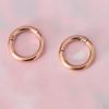 1 Pair Hinged Septum Nose Ring Segment Ear Lip Labret Hoop Rose Mm 8mm 10mm