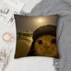 Cat Funny MEME Pillow Case Square Double-Sided Printing Short Plush Sofa Cushion Cover Bedroom Bedside Pillow