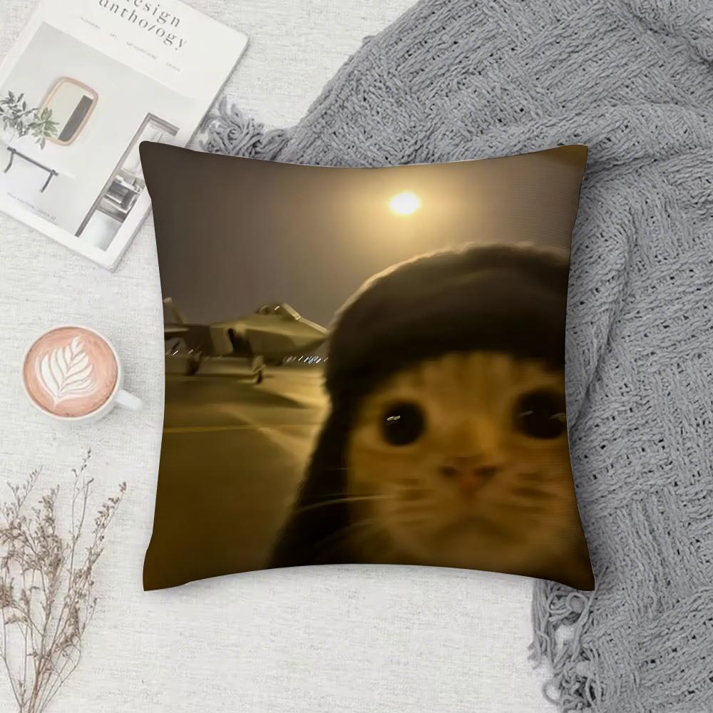 Cat Funny MEME Pillow Case Square Double-Sided Printing Short Plush Sofa Cushion Cover Bedroom Bedside Pillow
