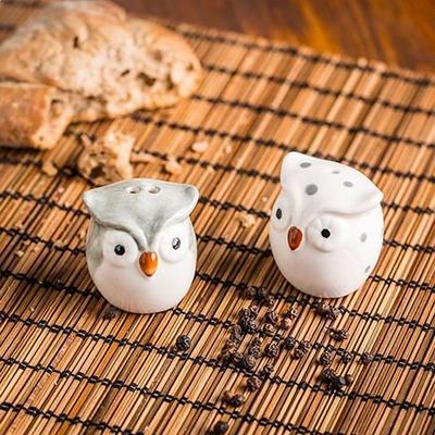 Duo Salt Pepper Owls Salt and Pepper Shaker Owls