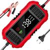Acumulatori și accesorii – Încărcătoare pentru acumulator