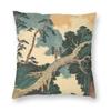 Views Of The Sixtyodd Provinces Square Pillowcase Polyester Linen Velvet Printed Zip Decor Pillow Case Sofa Seater Cushion Case