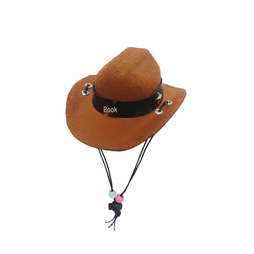 Denim Cowboy Hat with Star for Cats & Small Dogs