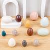 Wooden Educational Pretend Play Set: Colorful Bird, Chicken, and Duck Eggs for Kindergarten Science Learning