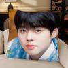 Korean Idol PPark JiHoon Pillow Case Fashion Square Pillowcase Bedroom Sofa Room Ins Decoration Leisure