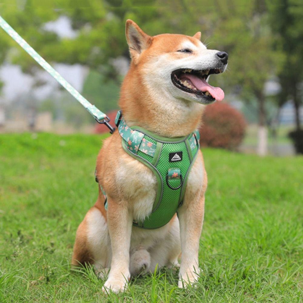 Atmungsaktives Hunde Geschirr Leine Set Verstellbare Katzen Geschirre Haustier Weste für Kleine Mittelgroße Hunde