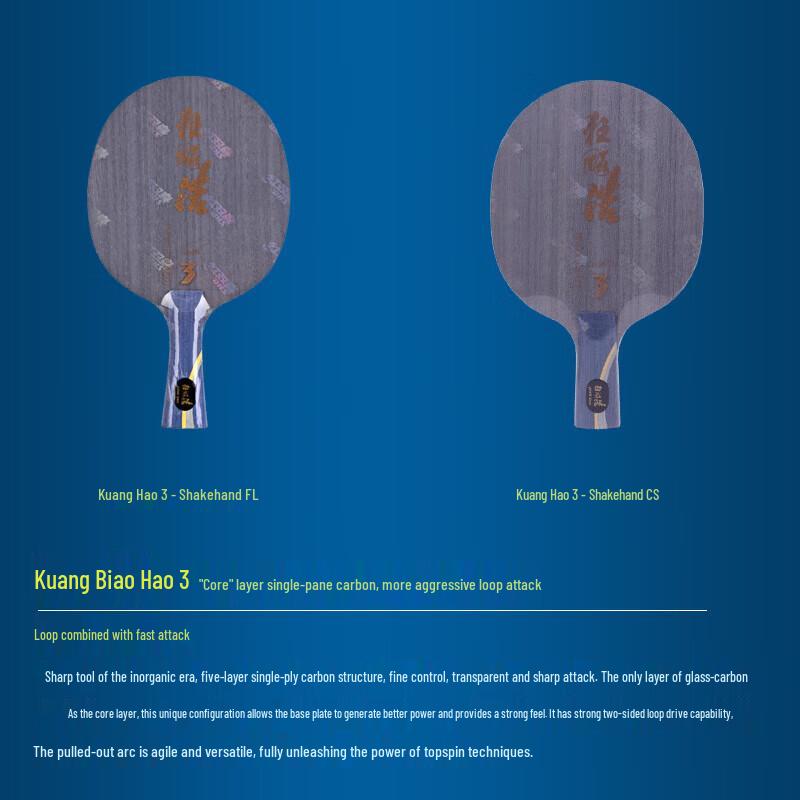 DHS Wang Hao Signature Penhold Table Tennis Racket