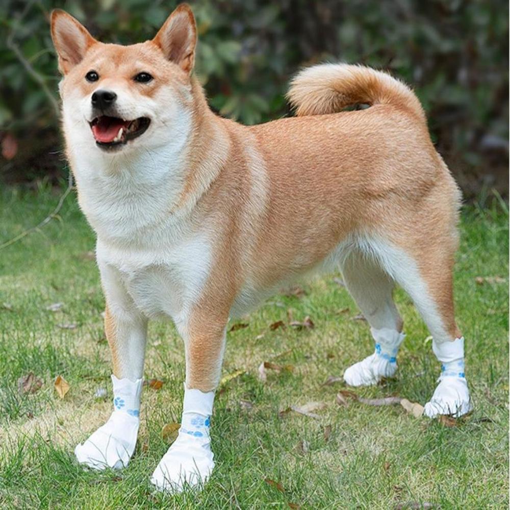 

20pcs Pet Dog Disposable Shoe Covers Dog Outdoor Anti Dirt Foot Covers Walking Dog Socks Waterproof Anti Slip Shoes Pet Supplies 15cmx7cm белый