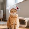 Guochao pet dumpling head cover cat guinea pig cartoon hat cross-dressing photo pet jewelry rabbit dumpling head cover