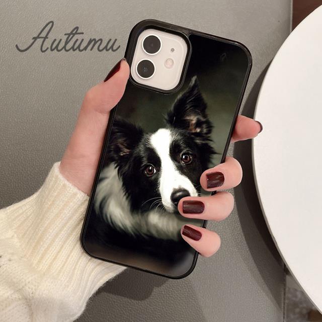 Süße Border Collie Hund Haustier Handyhülle für iPhone 11 12 13 14 Pro Max Mini XR XS SE 2020 6S 7 8 Plus Samsung Galaxy S21 S22 Cover