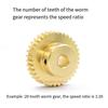 1 Set 1M Turbine Worm Gear with Worm Rod 1 Module 15 20 25 30 Teeth Brass Gear 45# Steel Worm Rod Drive Ratio 1:15/20/25/30